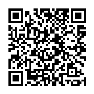 做一次饺子在云家就变成了比盛宴还需要隆重对待的事情二维码生成