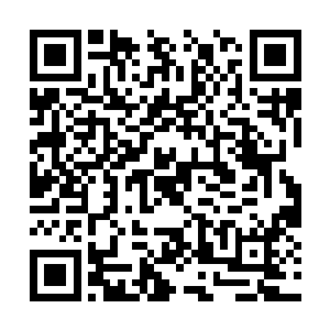 做为一名保镖的戈尔是不会轻易改变自己的行踪的二维码生成