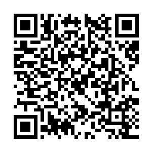 做为一名特种军人更不会犯下迷路这样的低级错误二维码生成