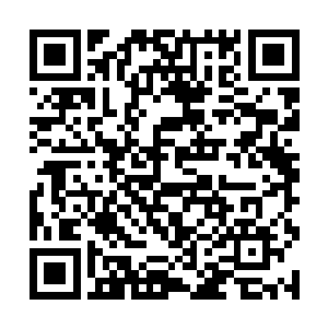 做为一族之长的飞星想要查清楚这事实在是太简单了二维码生成