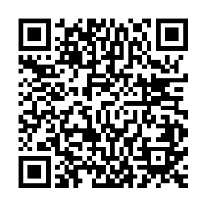 做为补偿我会掉过来无名天涯阁中能力比较强的人来保护王爷二维码生成