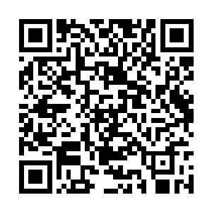 做仙尊的时候虽然我拥有了至高无上的地位和法术二维码生成