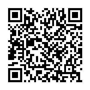 做出了一个让两大古老家族天才目瞪口呆的事情二维码生成