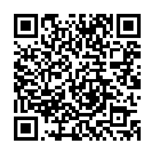 做出他之所以没有随便下决定都是因为尊重大巫预见的缘故二维码生成