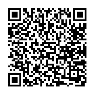 做出这个判定不仅仅是因为感应出的生命力比寻常百岁以内圣域天才要强大不少二维码生成