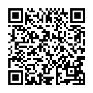 做完了这一切之后龙傲天再一次将目光放到了小金的身上二维码生成