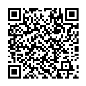 做点什么事情来庆贺一下我复活后参与的第一个副本呢二维码生成