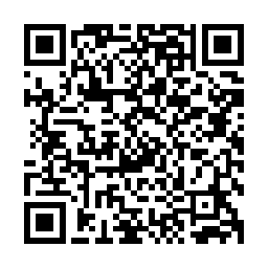 做生意的都会本着海纳百创的原则来收缴各种修真需要的材料二维码生成