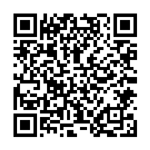 做秘书的首要条件就是在老板打算不清不楚的时候二维码生成