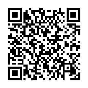 停在行宫门口的三辆装甲车里终于有一个动了起来二维码生成