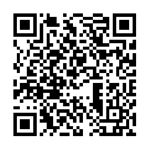停止了吸收火焰的火种这才停止了先前不断释放光热的举动二维码生成