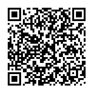 停滞在他的别墅的角落位置的那个已经达到了锻骨期的高手投来的目光二维码生成
