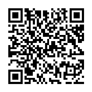 停留在釜山的第十六师团就向着葫芦岛发动登陆作战了二维码生成