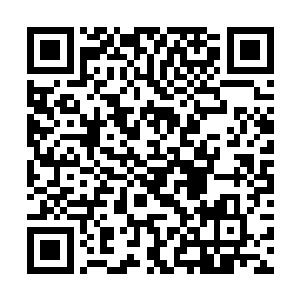 健壮的堪比小孩子腰肢的胳膊上纹着张牙舞爪的花纹二维码生成