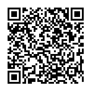 健硕庞大的狼身和阳光下闪烁着寒光的牙齿吓得那几个人已经腿软的倒下二维码生成