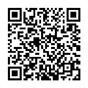 偶尔一辆百万级的车多半都是老板故意找来撑场子的二维码生成