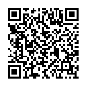 偶尔也会有一些初入无极始境层次的玄黄兽出现二维码生成