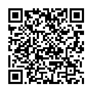 偶尔也配合学校检查一下学生有没有佩戴学生证二维码生成