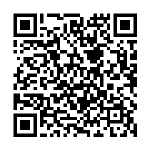 偶尔和张真还有洪芳芳这些曾经教过的高中学生一起二维码生成