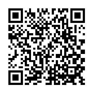 偶尔帮着包子小丫鬟哄哄小萝莉妞妞和熊孩子睿哥儿二维码生成