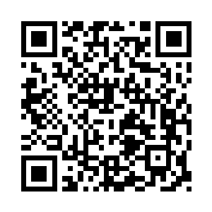 偶尔还能看到松鼠宛如闪电般自树上掠过二维码生成