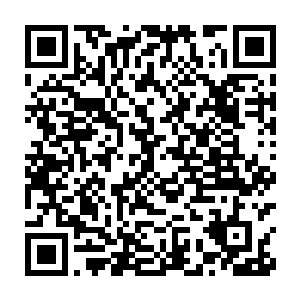 偶尔间会弥漫出一股纵然是仙尊境老祖都会为之惊悸的恐怖能量波动二维码生成