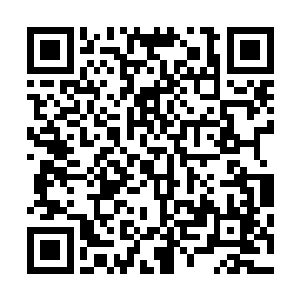 偶然遇到了一缕凤祖飘荡在那个神秘空间内的灵魂……对了二维码生成