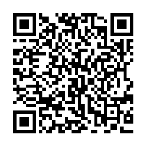 偷一个人或者抢一个人对于一个金牌杀手来说简直就是小菜一碟二维码生成