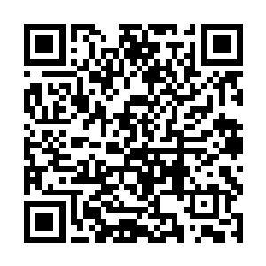 偷偷带回了一份当年金不换与他的来往书信给金墨凌二维码生成
