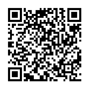 偷听的小虫嗷的叫了一嗓子就跑去告诉陆轻盈这个好消息二维码生成
