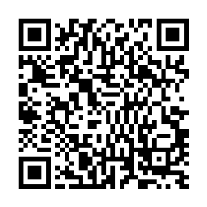 傀儡就在几米远的复杂的线条之前机械地重复着挖土的动作二维码生成