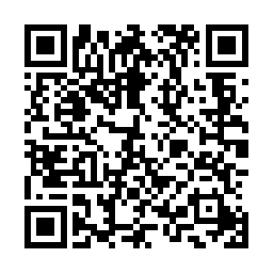 傀儡狮的爪罡抓到龙傲天身上的时候仿佛抓在金属上面一般二维码生成