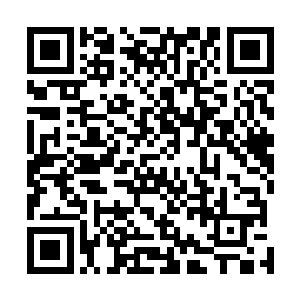 傅叶绪每天只有在晚上才回从画像中钻出来和秋长水相会二维码生成