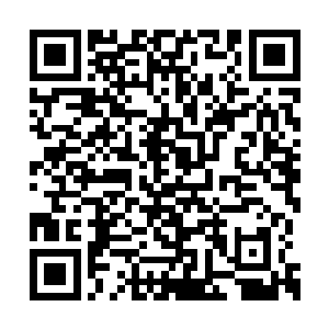 傅平波随即也开始用最快的速度下达和传递命令二维码生成