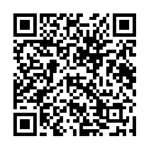 傅立行主持的两个馆的装修改造差不多完成了三分之二二维码生成