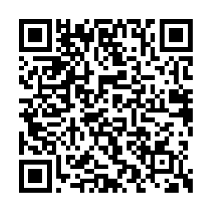 傅青山好不容易才把目光从五毒噬灵蛊虫群收回二维码生成