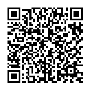 傍晚空气中残留的炙热和初夏降临的烦躁就被留在了金黄色的琥珀之中二维码生成