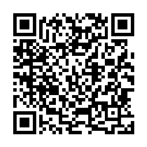 储存的各种粮食物资足够我们这里的数十万幸存者使用很久二维码生成