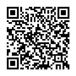 储物戒指中的水属性符宝和土属性符宝堪堪够数二维码生成