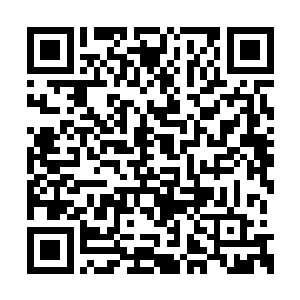 催促我在奥斯卡提名者午宴之前一定要对你动手二维码生成