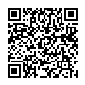 催动自己的域界向着大护法凝聚出的法则域场撞去二维码生成