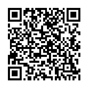 傲天小友不想因为容英城城主的事情牵连到了她二维码生成