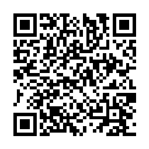 傲家的防御阵法也是直接提升到了七级阵法的水平二维码生成