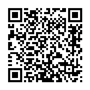 傲翅虎何长安等人身上的芥子袋他也不客气的全部拣起二维码生成
