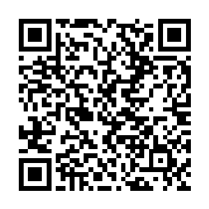 傲邪云和风翔宇此时都已经是神尊中期顶峰的水平二维码生成