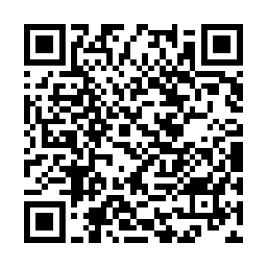 傻呼呼的下了个让所有人员在甲板列队欢迎的命令二维码生成