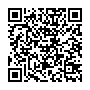 傻大姐本来就怕自己离开后苏落会被八角蛮牛吃掉二维码生成