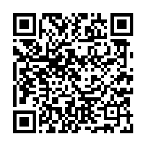 傻子也能猜到普通人哪敢在这种事情上弄虚作假二维码生成