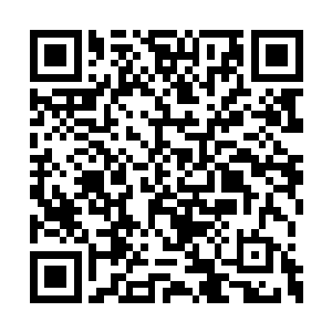 傻子这个毅怀王如今能在东宫过得这般悠闲自在二维码生成