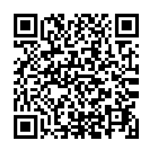 像一个傻子一般双眼湿润地看着大屏幕上不断翻滚的字幕二维码生成